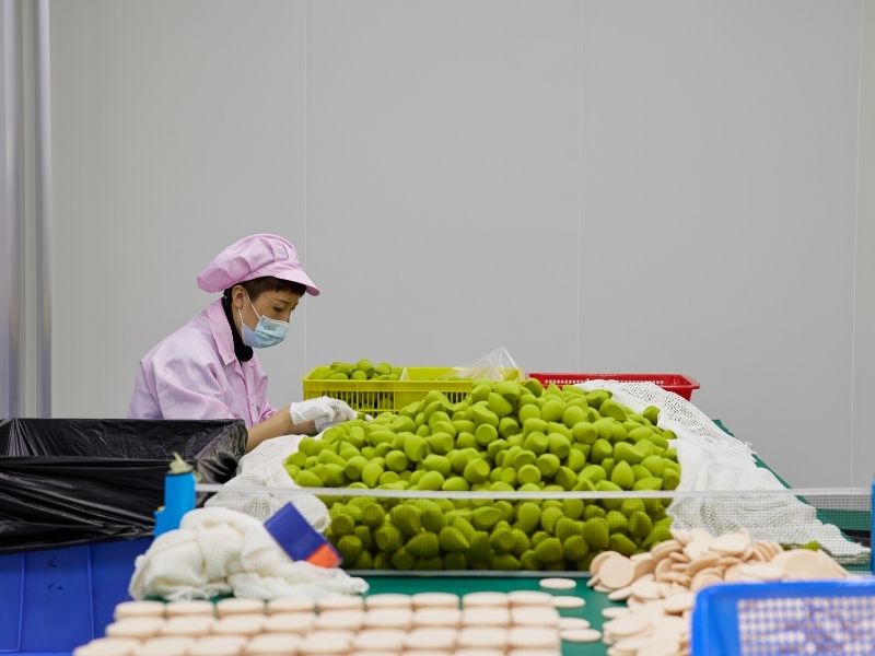 fabricant d'éponges de maquillage pratiques durables.
